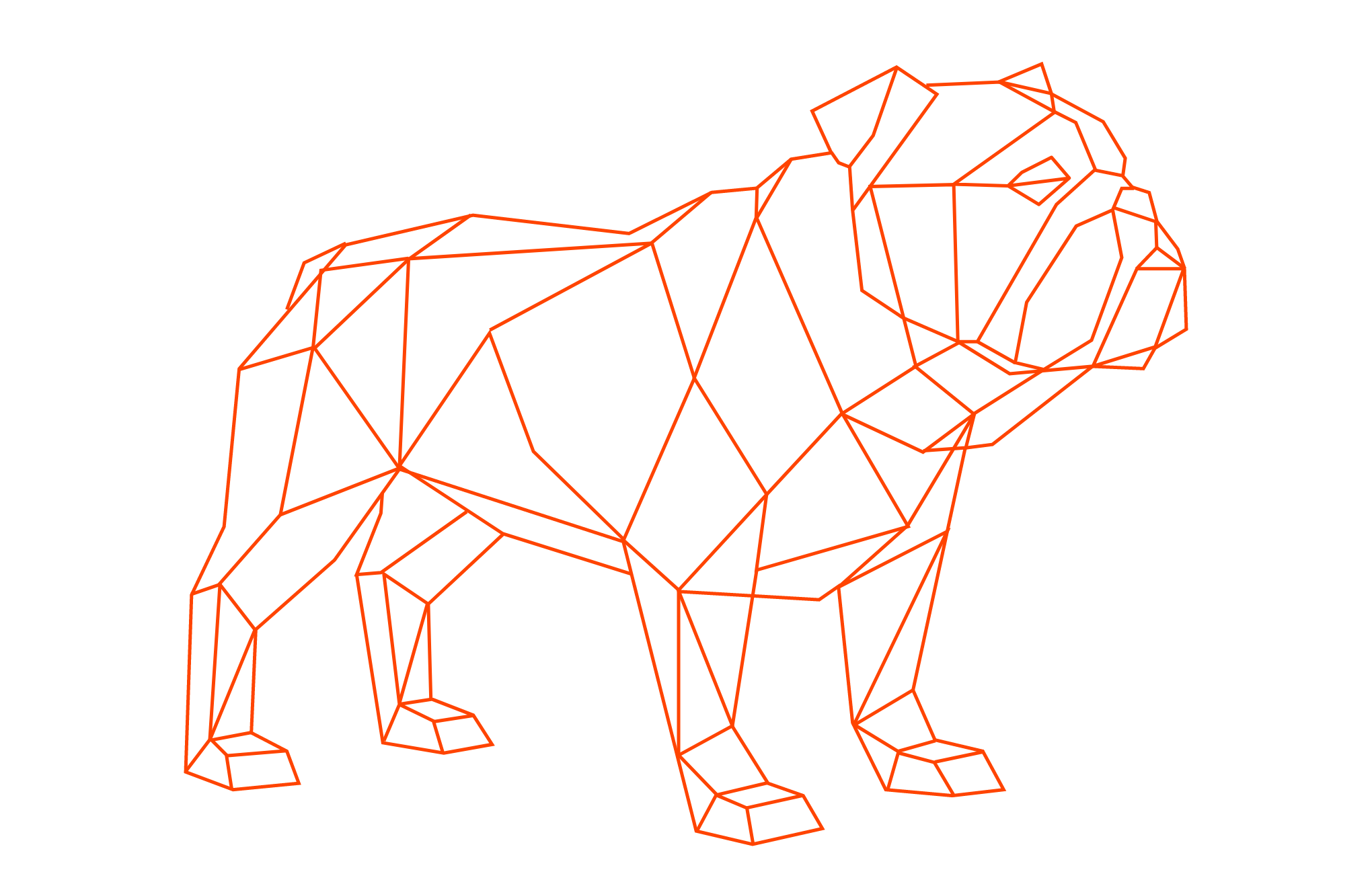 Berni – Bulldog origami